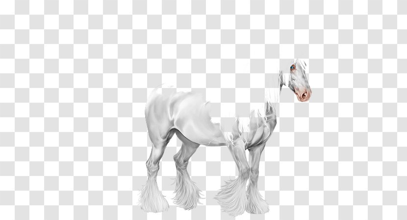 Foal Mare Stallion Mustang Colt - Livestock - Gypsy Horse Transparent PNG