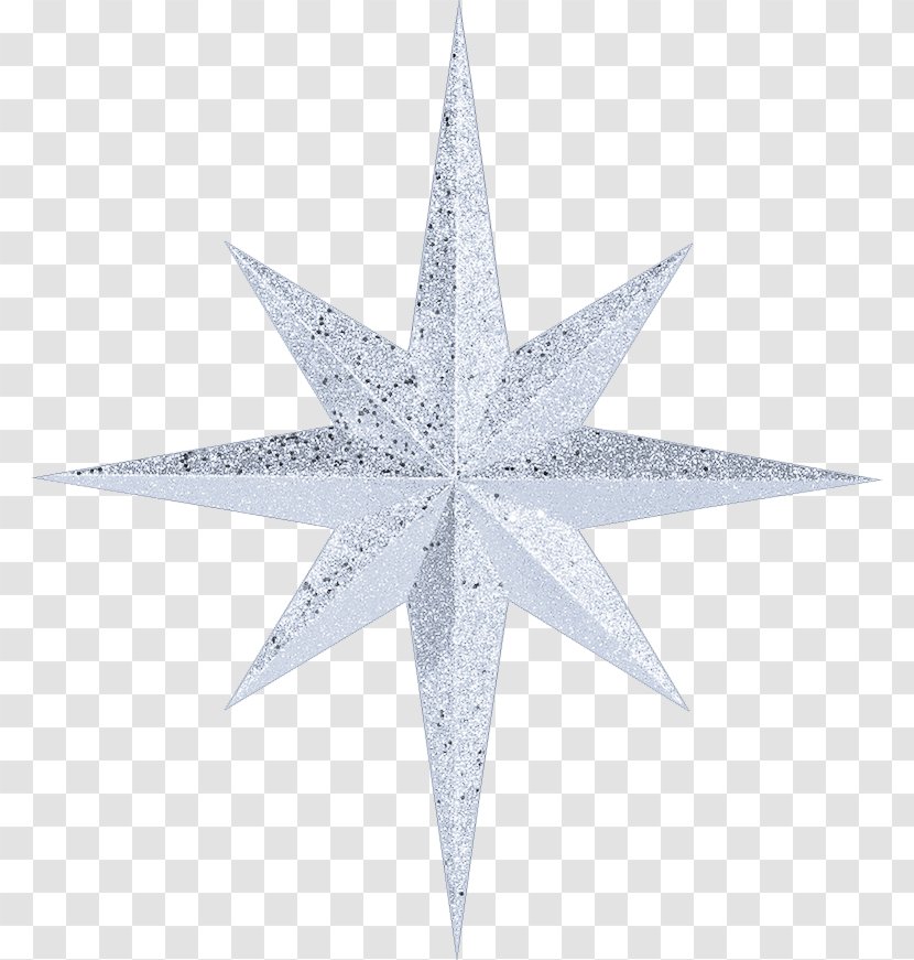 Wallpaper - Shape - Starfish Irregular Transparent PNG