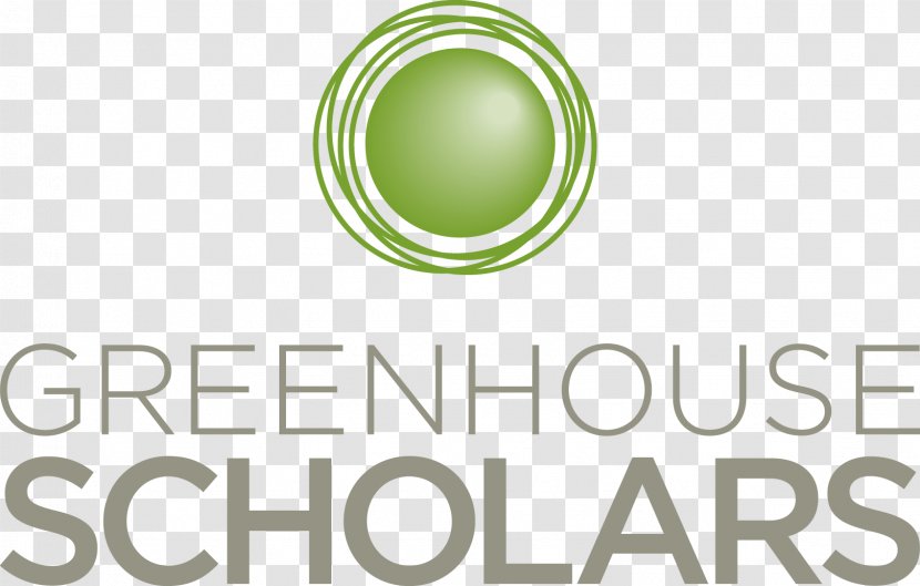 Scholarship Student Education College School - Non Profit Organization Transparent PNG