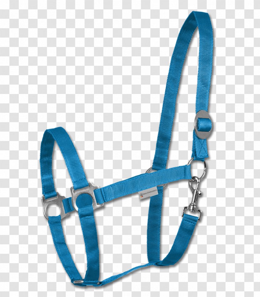 Halter Nylon 6 Perlon S.r.o. Cob Bridle - Electric Blue Transparent PNG