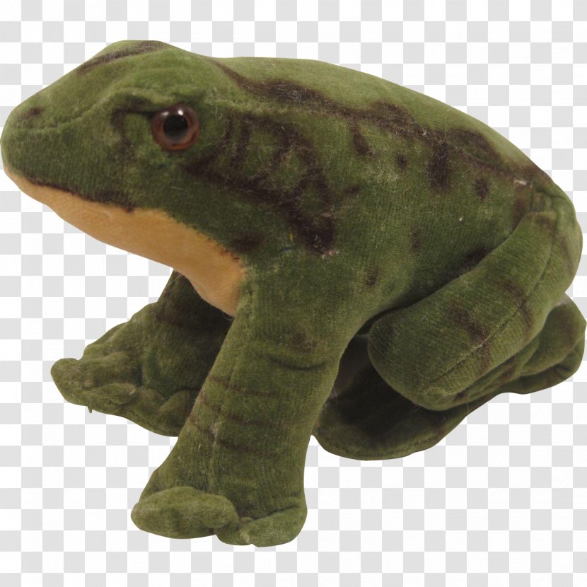 True Frog Toad Tree Reptile Transparent PNG