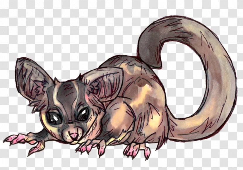 Rat Dog Canidae Mammal Carnivores - Sugar Glider Transparent PNG