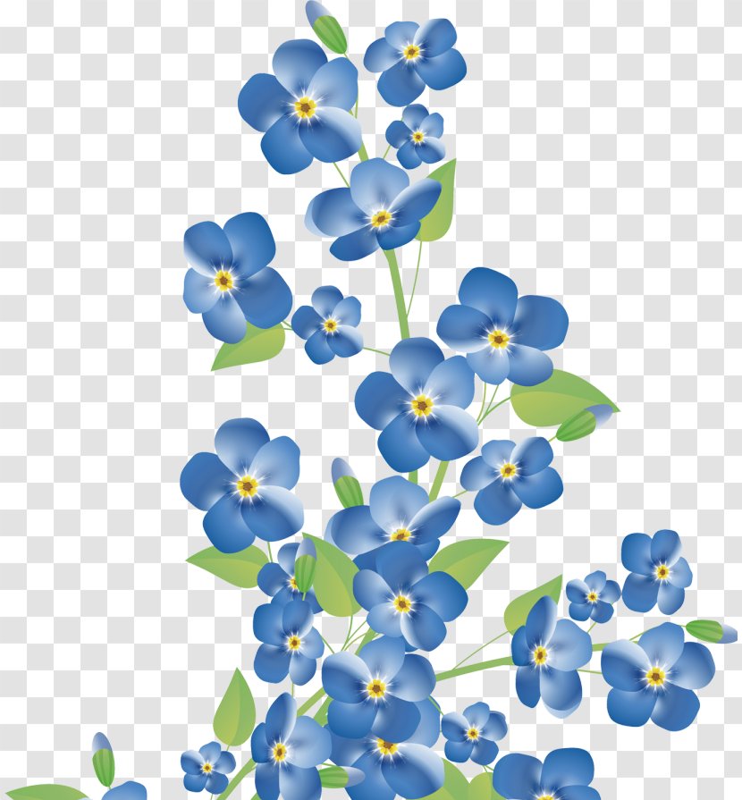 Flower Stock Photography - Borage Family Transparent PNG