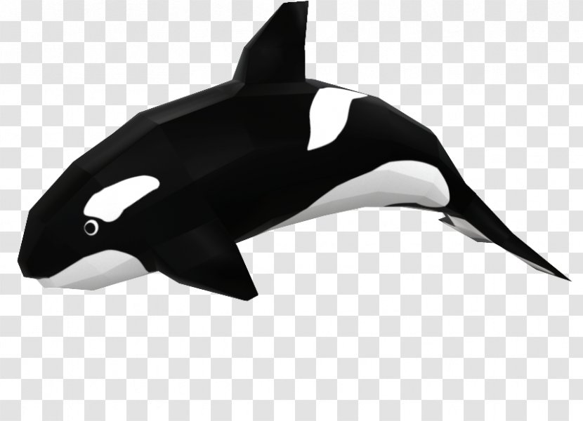 Killer Whale White-beaked Dolphin Paper Shark Drawing - Fin Transparent PNG