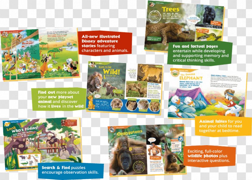 Ecosystem Fauna Brochure - Advertising - Yoga Flyer Transparent PNG