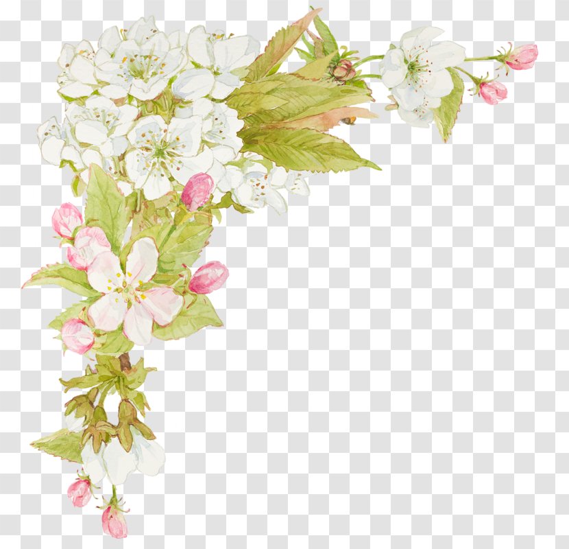 Flower Watercolor Painting Floral Design - Petal - Jasmine Flowers Transparent PNG