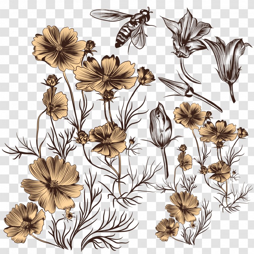 Euclidean Vector Flower Drawing Sketch - Cut Flowers - Bee Download Transparent PNG