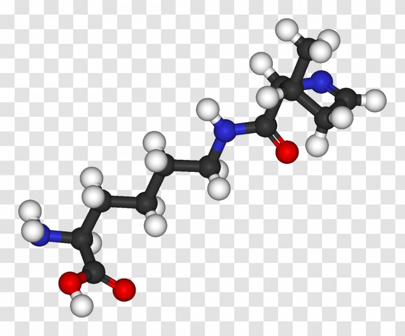 Pyrrolysine Amino Acid Stop Codon Methanogen Genetic Code - Silhouette - Protein Transparent PNG