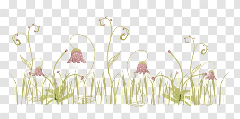 Floral Design Botanical Illustration Plant - Grass Family Transparent PNG