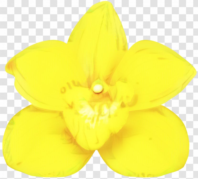 Yellow Background - Wheel Plant Transparent PNG