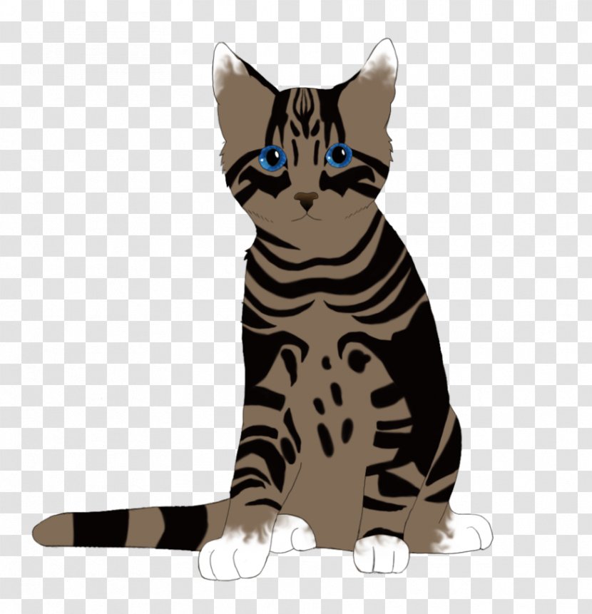 Tabby Cat Domestic Short-haired American Shorthair Toyger California Spangled - Carnivoran - Coloring Pages Transparent PNG