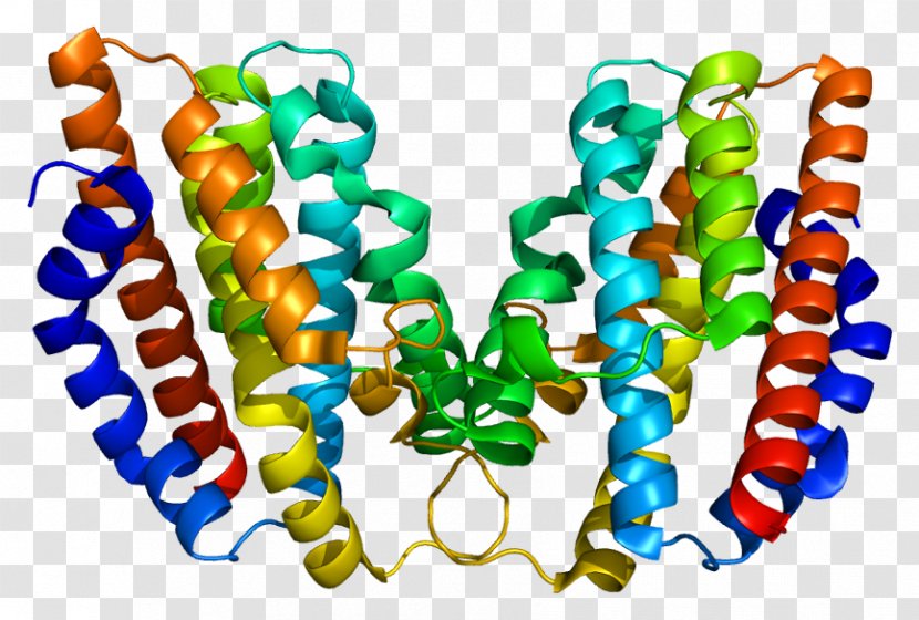 HMOX1 Heme Oxygenase Enzyme Gene - Binding Site Transparent PNG