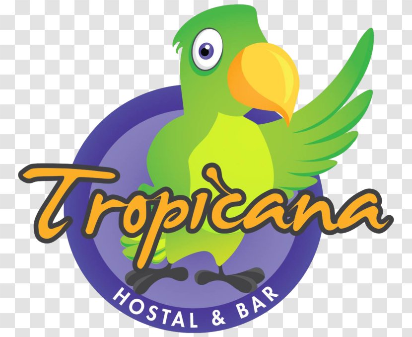 Tropicana Hostel Logo Macaw Backpacker Clip Art - Paper Transparent PNG