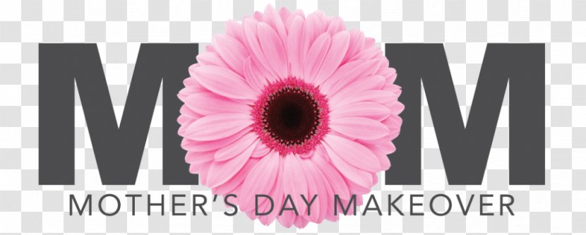 Mother's Day Makeover Transvaal Daisy Gift - Material Transparent PNG