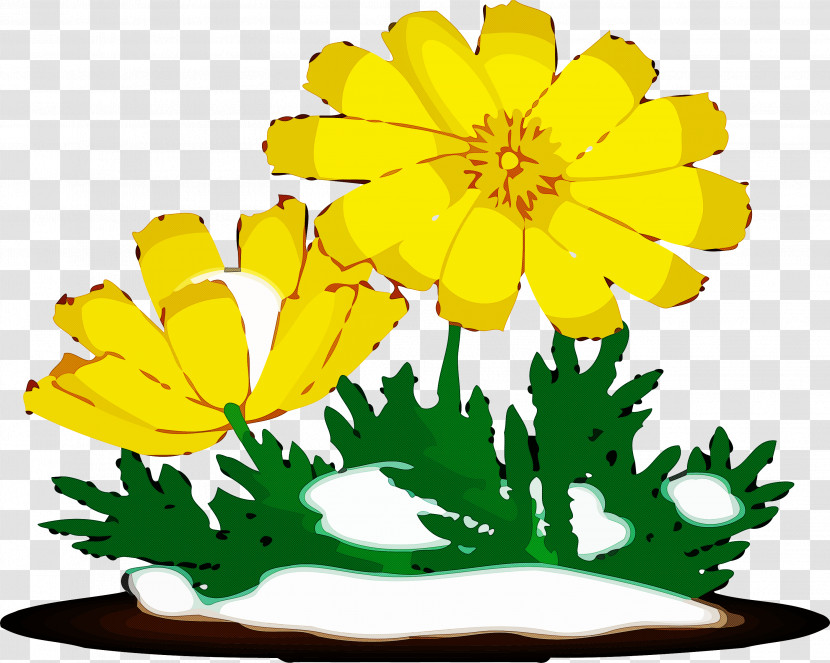 Yellow Flower Leaf Plant English Marigold Transparent PNG