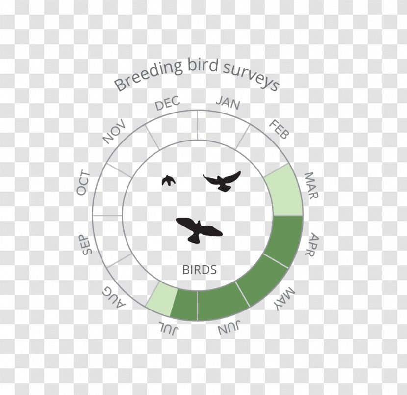 Logo Breeding Bird Survey Contract Ecology - Diagram Transparent PNG