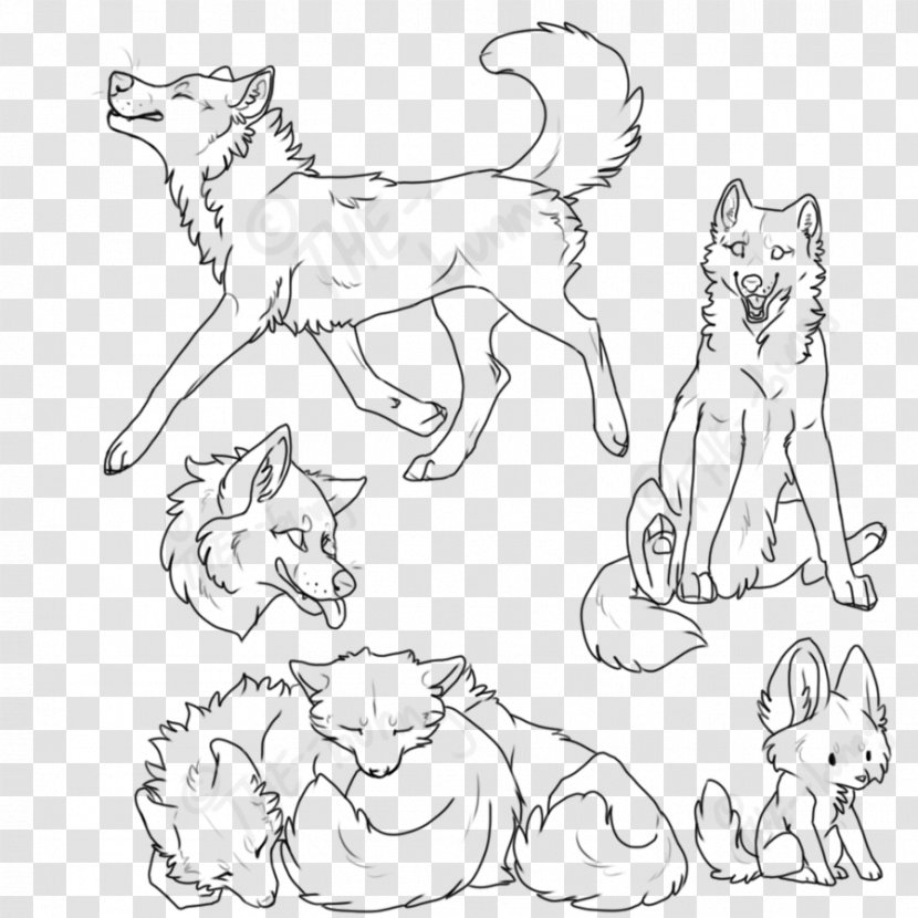 Whiskers Cat Dog Breed Paw - Like Mammal - Rabitt And Wolf Transparent PNG