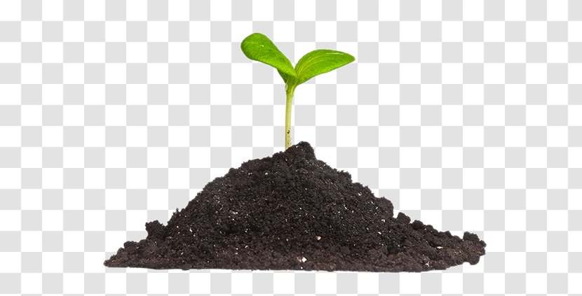 Stock Photography Royalty-free Image Stock.xchng - Soil - Sprouting Transparent PNG