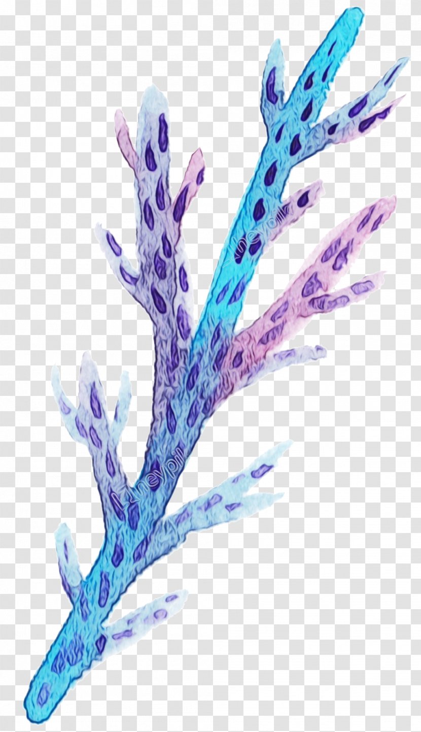 Coral Reef Background - Aquarium Decor - Twig Flower Transparent PNG