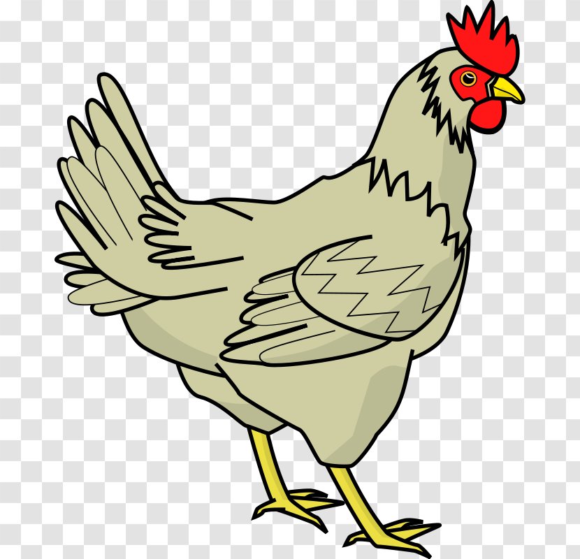 Cochin Chicken Rooster Clip Art - Poultry - Drumstick Pictures Transparent PNG
