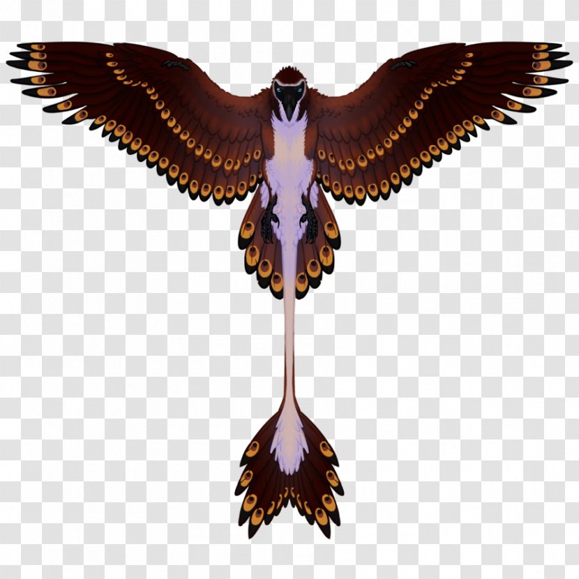 Eagle Beak - Symmetry Transparent PNG