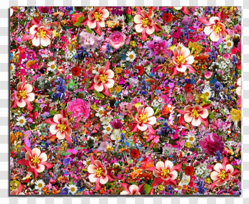 Flower Psychedelia Desktop Wallpaper Psychedelic Art - Flowering Plant - Collage Transparent PNG