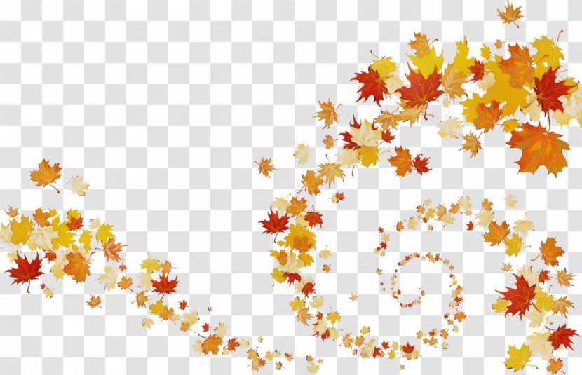 Autumn Leaf Drawing - Yellow Transparent PNG