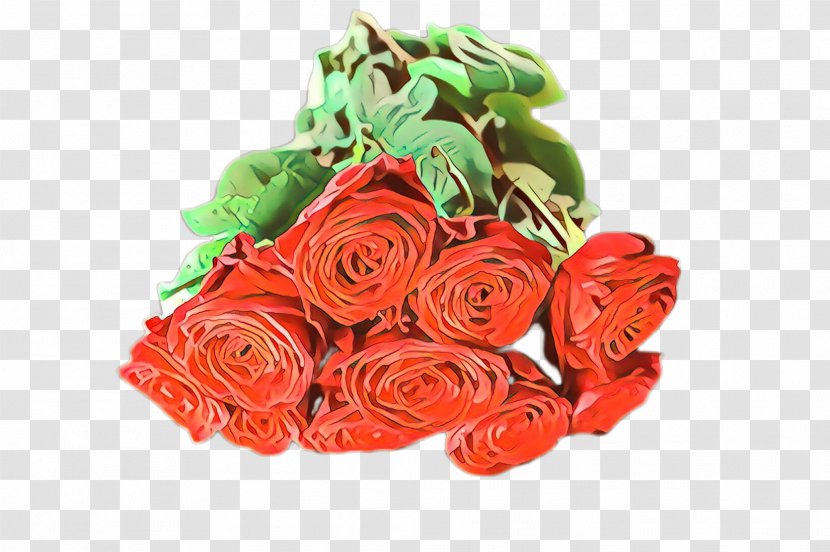 Garden Roses - Orange - Floribunda Rose Family Transparent PNG