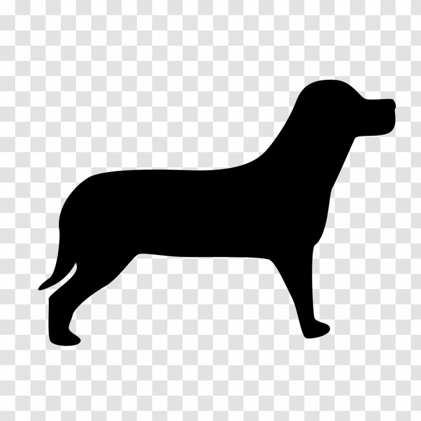 Poodle Welsh Terrier Bombay Cat Pet Sitting - Dog - Carnivoran Transparent PNG