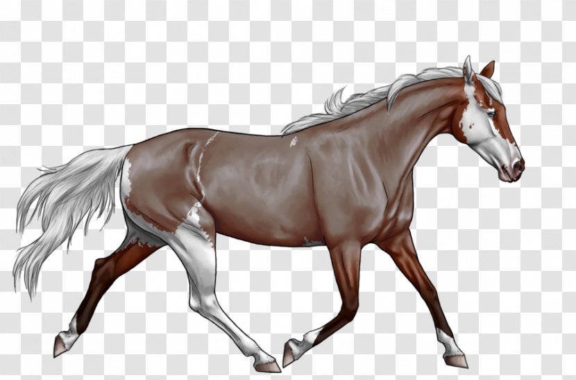 Mane Foal Horse Stallion Pony - Supplies Transparent PNG
