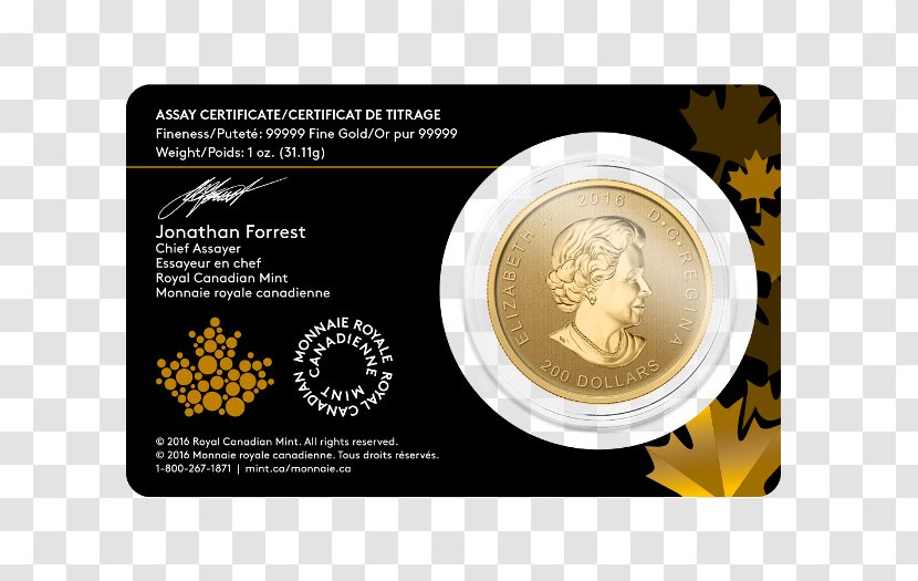 Gold Coin Elk American Eagle Canadian Maple Leaf - Currency Transparent PNG