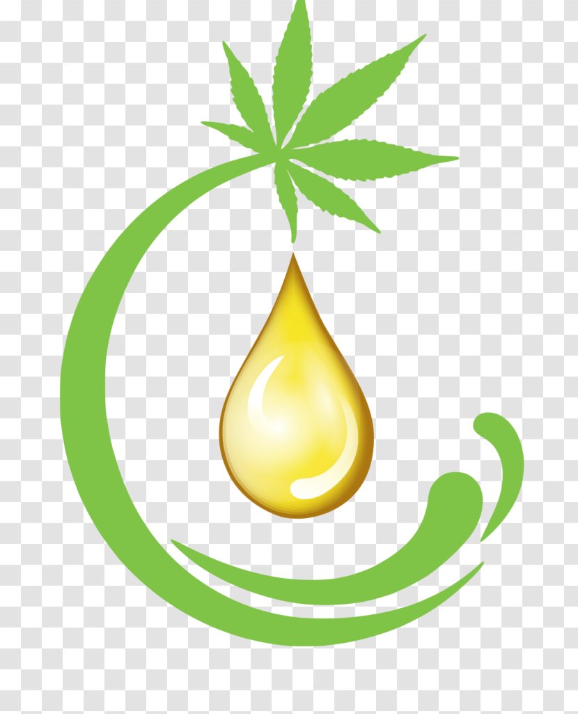 Cannabidiol Cannabis Tetrahydrocannabinol Hemp Sensi Seeds - Seed Transparent PNG