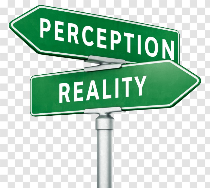 Perception Reality United States Thought Reason - Person Transparent PNG