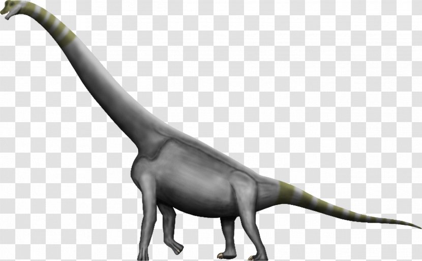 Brachiosaurus Argentinosaurus Dinosaur Size Amphicoelias Morrison Formation - Terrestrial Animal - Celsius Transparent PNG