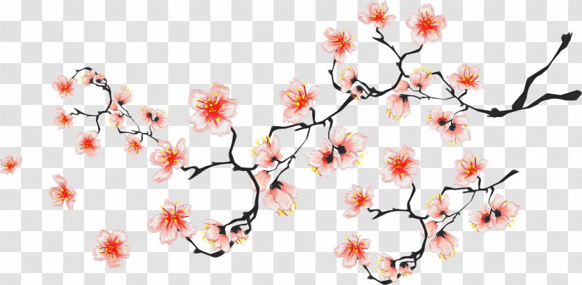Floral Spring Flowers - Blossom - Wildflower Twig Transparent PNG