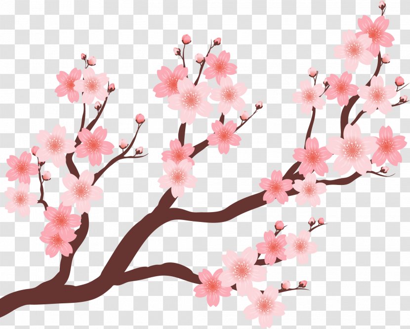 Cherry Blossom Plum - Pink - Beautiful Tree Transparent PNG