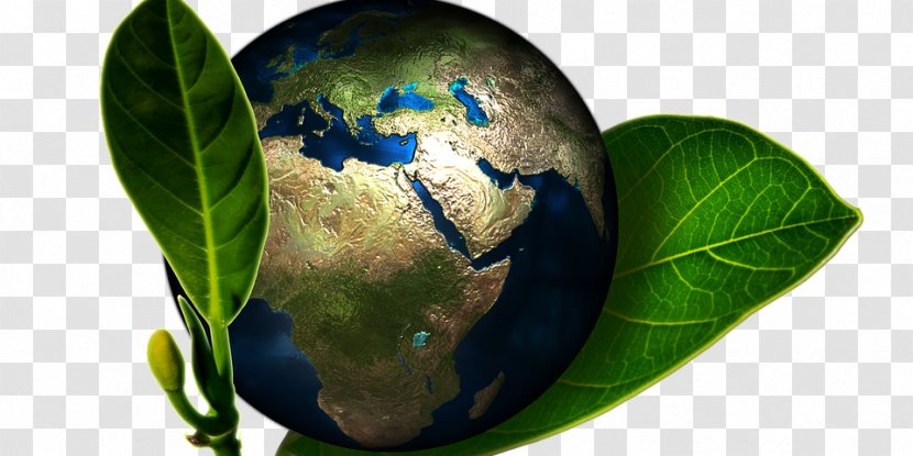 Natural Environment World Day Steaks, Chops And Fancy Egg Dishes Of The Famous Chefs, United States, Canada, Europe; Steak, Chop Book Earth Environmental Management System - Planet Transparent PNG