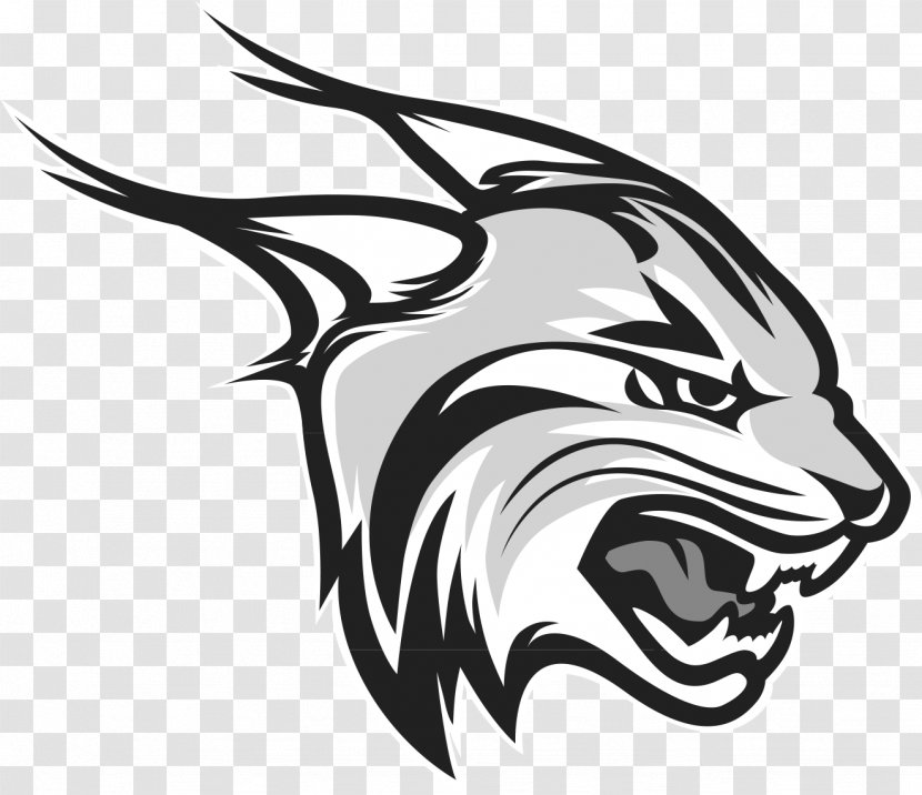 Rhodes College Mac Murray Millikin University The Of South Lynx Football - Wildlife Transparent PNG