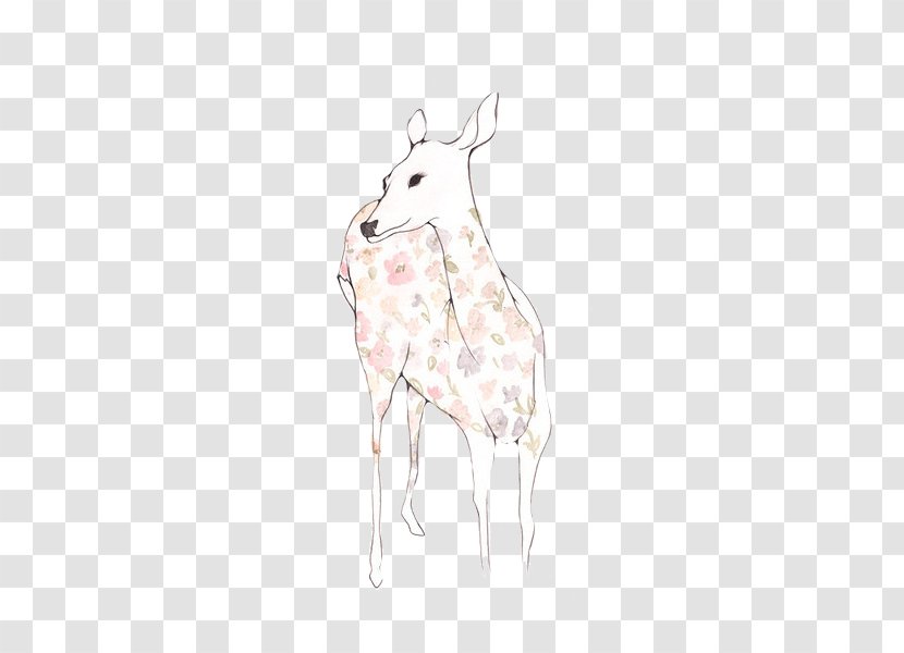 Giraffe Reindeer Horse Hare Fauna - Hand-painted Deer Transparent PNG