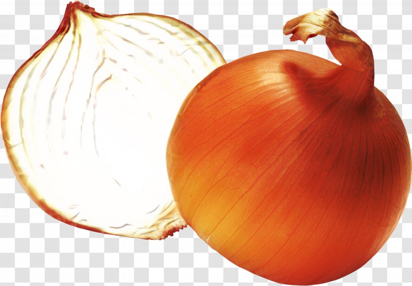 Red Onion Clip Art Image - Welsh - Vegetable Transparent PNG