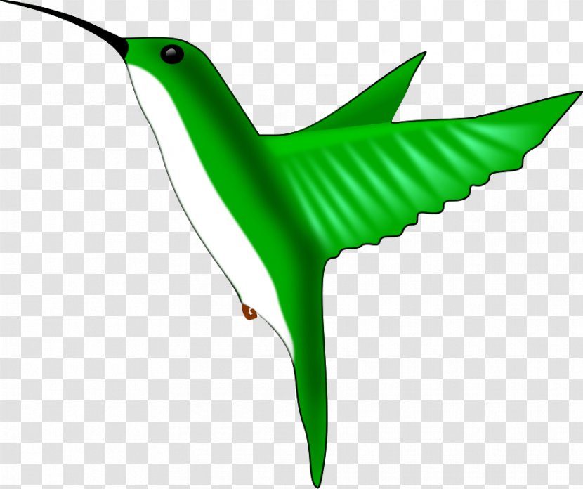 Hummingbird Free Content Clip Art - Leaf - Cliparts Transparent PNG