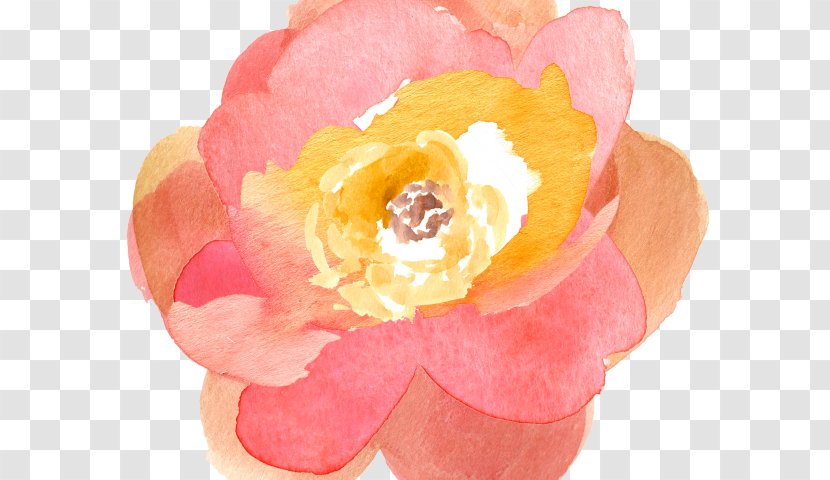 Clip Art Watercolor: Flowers Floral Bouquets Watercolor Painting - Drawing - Flower Transparent PNG