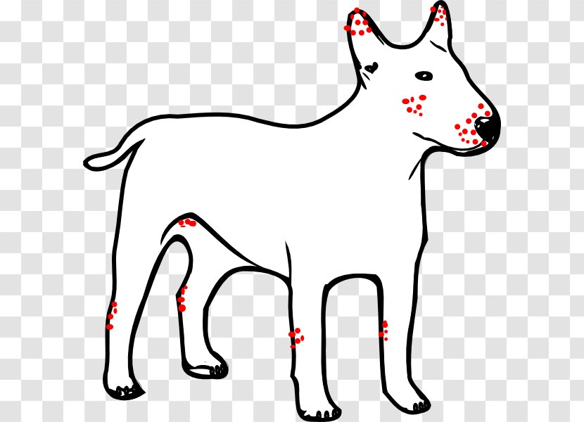Dogo Argentino Great Dane Puppy Kong Company Clip Art - Drawing - Marked Cliparts Transparent PNG