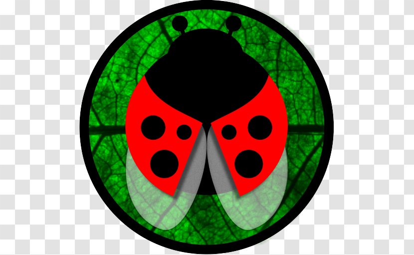 Clip Art Pattern Lady Bird - Ladybird - Rave Party Transparent PNG