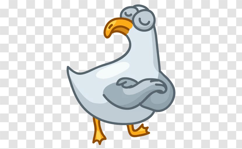 Telegram Sticker VKontakte Пикабу Viber - Ducks Geese And Swans - Transparent Seagull Transparent PNG