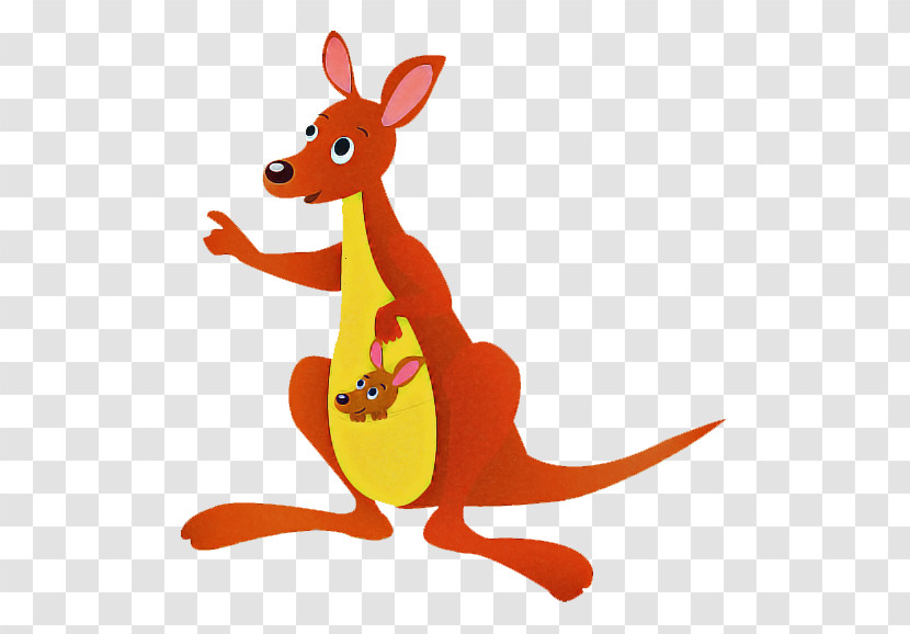 Kangaroo Macropodidae Kangaroo Red Kangaroo Cartoon Transparent PNG
