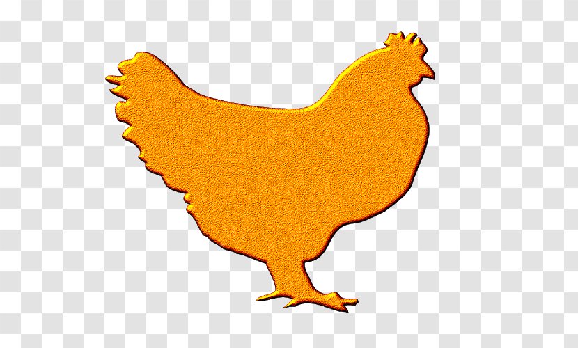 Chicken Yellow Rooster Galliformes Clip Art - Fauna - Hen Transparent PNG