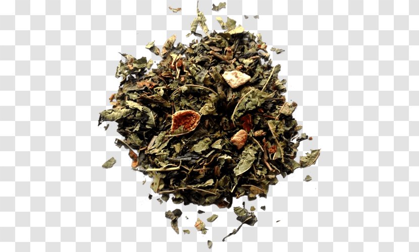 Hōjicha Green Tea Oolong Nilgiri - Earl Grey Transparent PNG