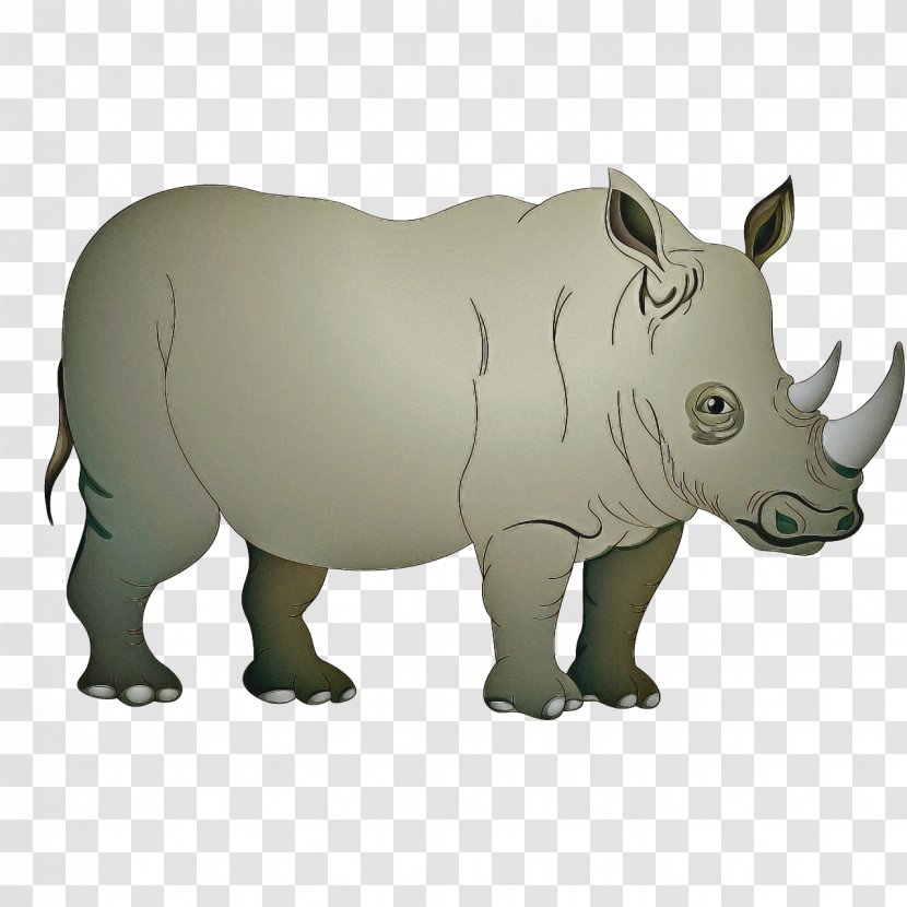 Animal Cartoon - Horn - Sumatran Rhinoceros Transparent PNG