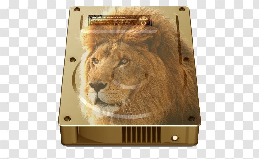 East African Lion Desktop Wallpaper - Carnivoran - Gold Transparent PNG